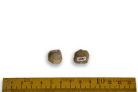 F 01487
<br/>
<br/>
<em></em>